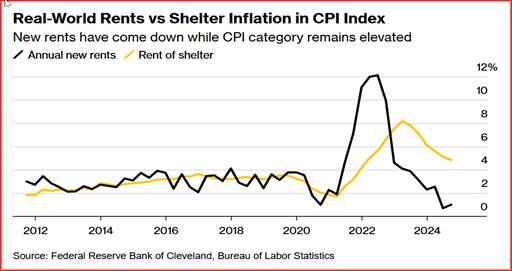 广东湛江：中华白海豚种群稳定 生态保护显成效