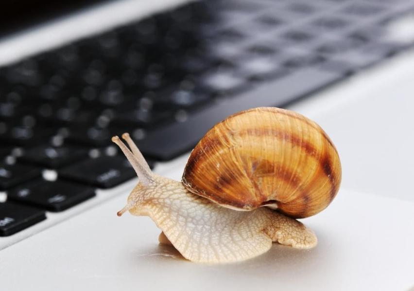 黑龙江省市场监管局“农资打假保春耕”专项行动突出“检、查、打、稳”